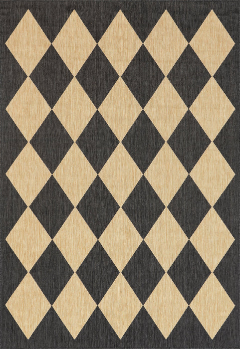 Adelaide Harlequin Area Rug for Indoor and Outdoor Use