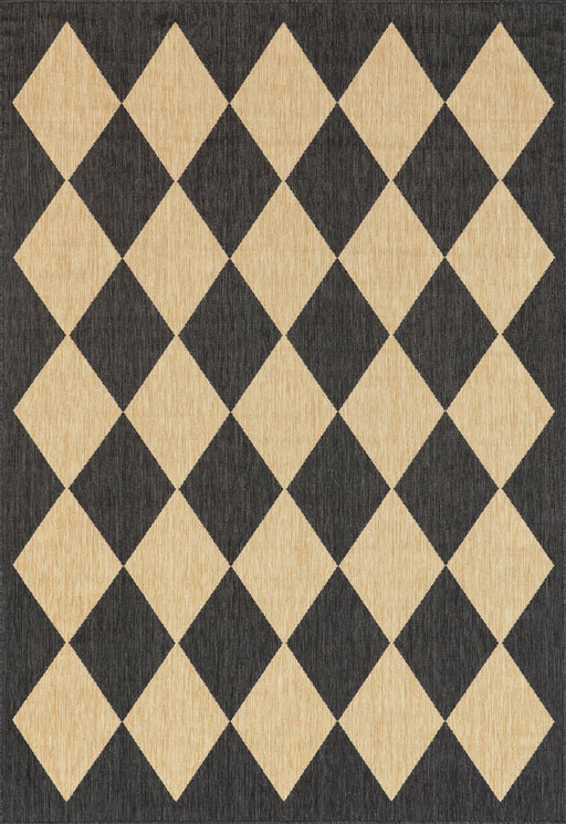 Adelaide Harlequin Area Rug for Indoor and Outdoor Use