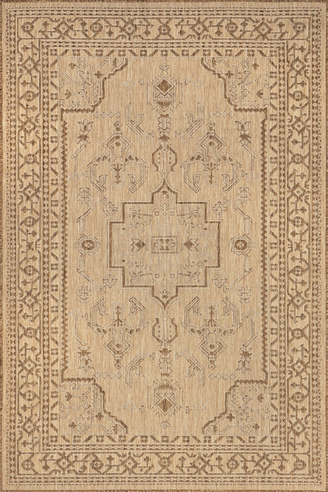 Antique Brown Indoor Outdoor Rug 160x230 cm