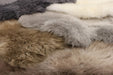 Asiatic Sheepskin Mink Hide Rug