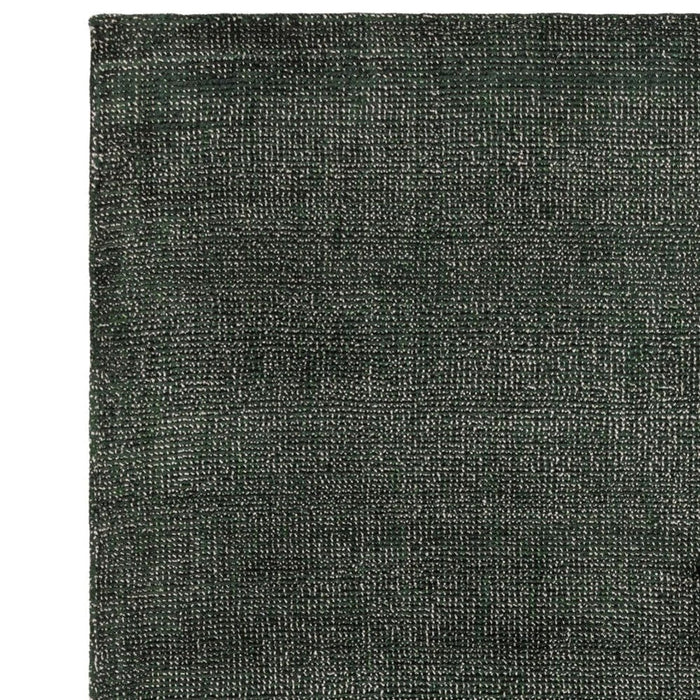 Aston Modern Plain Distressed Shimmer Hand-Woven Textured Viscose Flatweave Green Rug