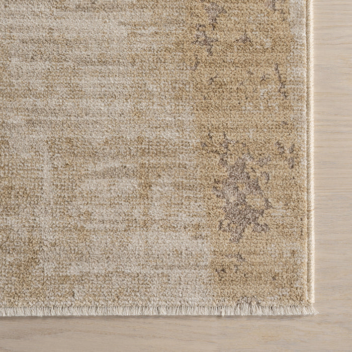 Bardiya Distressed Area Rug in Sand for Home Decor