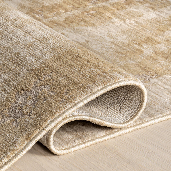 Bardiya Distressed Area Rug in Sand for Home Decor