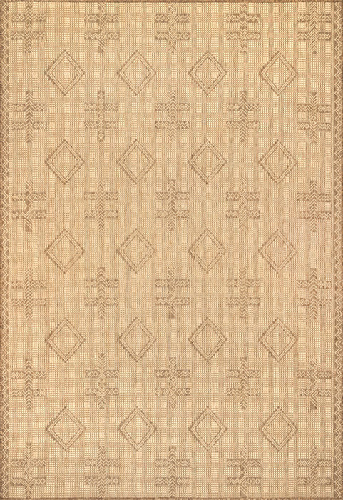 Beige Indoor Outdoor Area Rug For Home And Garden