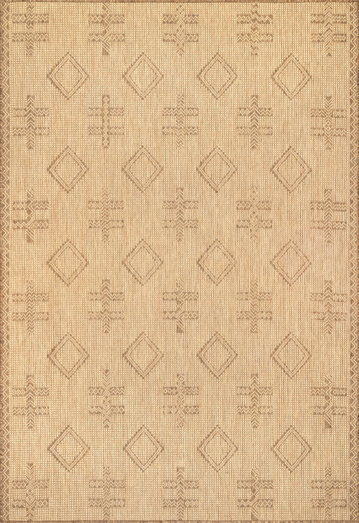 Beige Indoor Outdoor Area Rug For Home And Garden