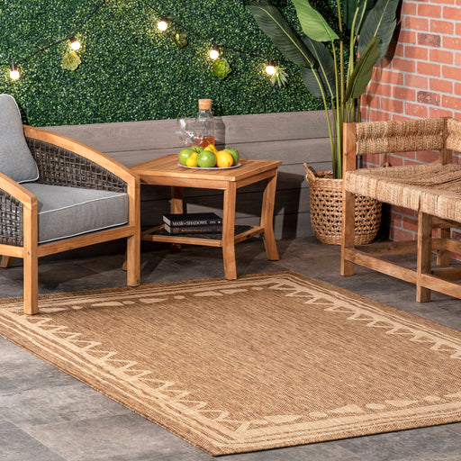 Beige Indoor Outdoor Area Rug for Transitional Spaces