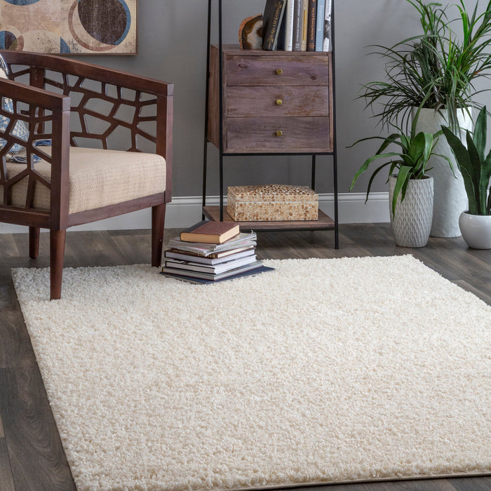 Beige Shag Area Rug for Home Decor