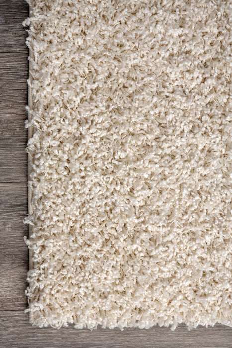 Beige Shag Area Rug for Modern and Traditional Homes