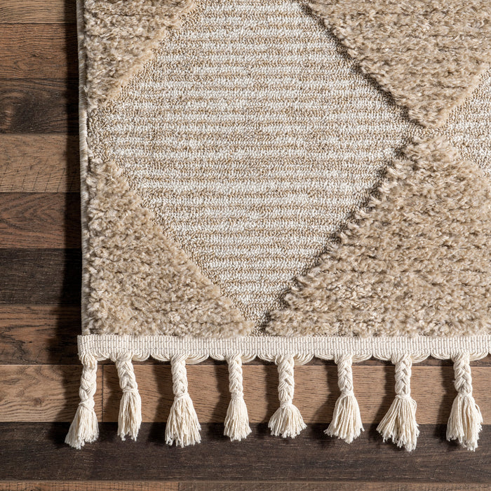 Beige Tasseled Area Rug for Living Room and Dining Area