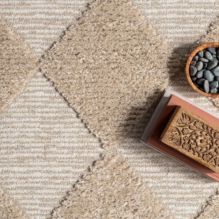 Beige Tasseled Area Rug for Living Room and Dining Area