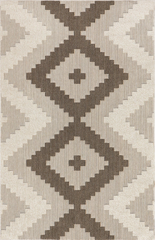 Beige Trellis Area Rug for Indoor and Outdoor Use