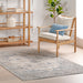 Beige Washable Indoor Outdoor Area Rug for Home Decor
