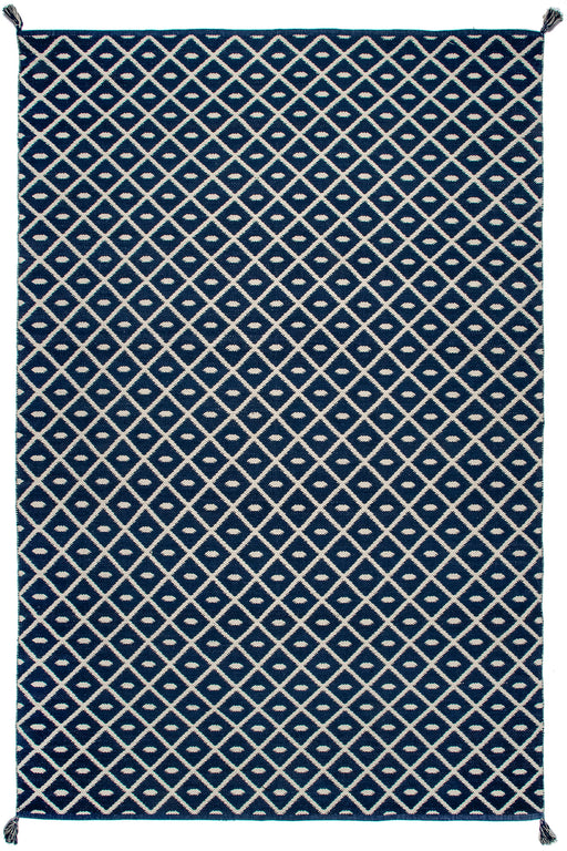 Blue Trellis Pattern Area Rug With Tassels 120x180 cm