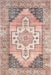 Blush Washable Medallion Area Rug by Lauren Liess