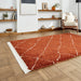 Boho 5413 Modern Moroccan Berber Soft Plush Shaggy Rust Rug