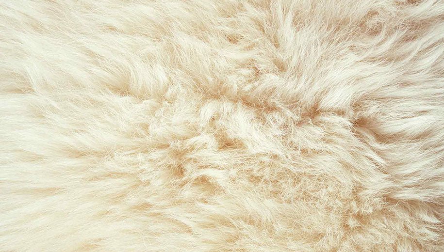Bowron Longwool Champagne Sheepskin Rug