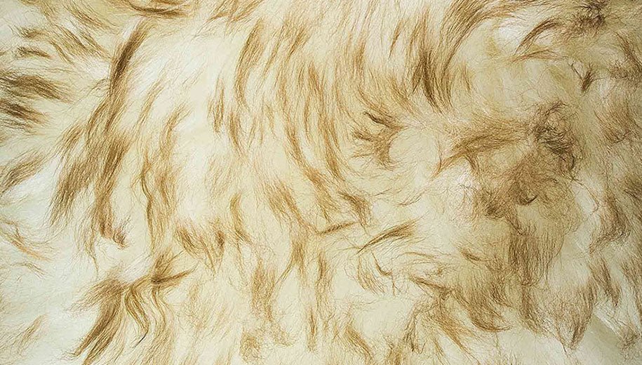 Bowron Sheepskins Longwool Eclipse Hide Rug