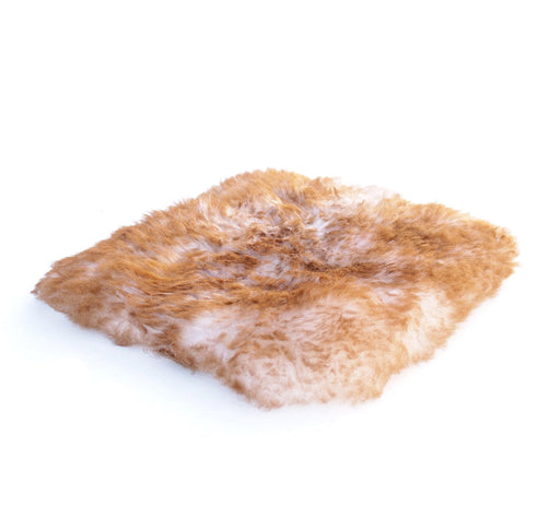 Bowron Sheepskins Pet Care Square Rug