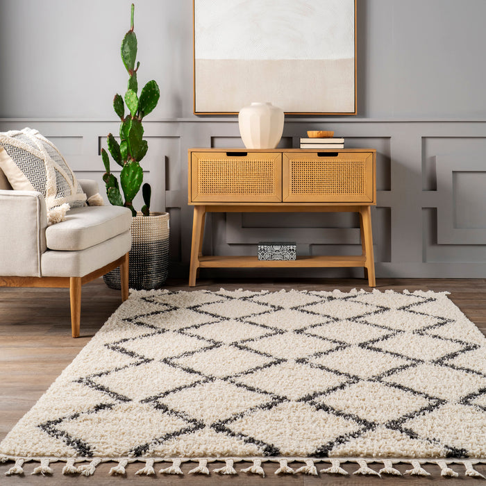 Braided Tassels Off White Area Rug With Trellis Design