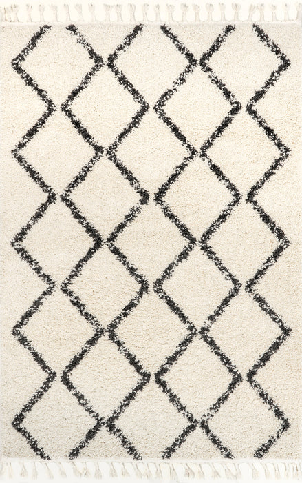 Braided Tassels Off White Area Rug With Trellis Design