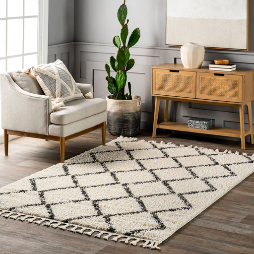 Braided Tassels Off White Area Rug With Trellis Design