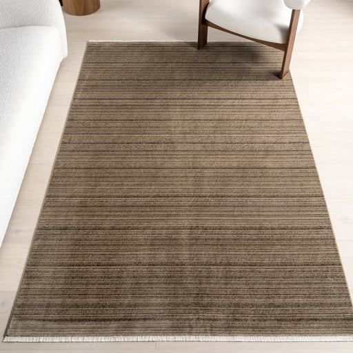 Brown Fringed Area Rug 60x90 cm