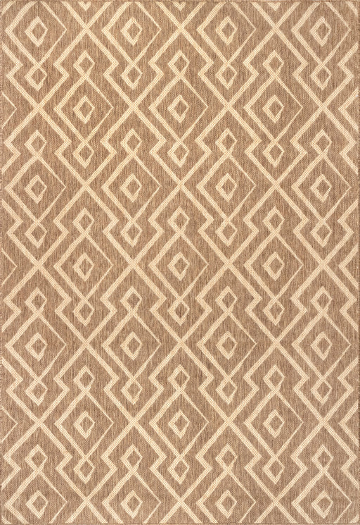 Brown Trellis Indoor Outdoor Area Rug for Home Decor