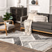 Cameron Grey Area Rug for Modern Home Decor