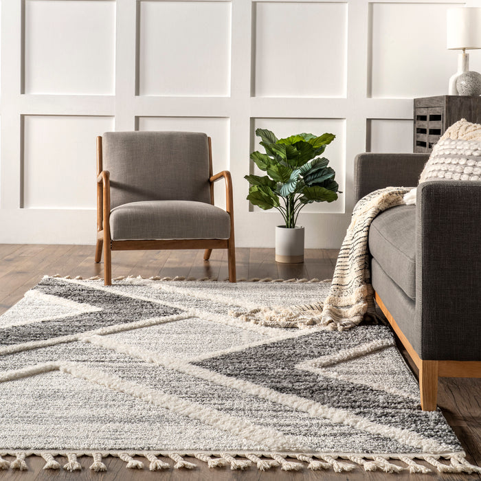 Cameron Grey Area Rug for Modern Home Decor