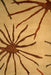 Carnival Carnival Rug