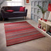 Carter Red Stripe Rug