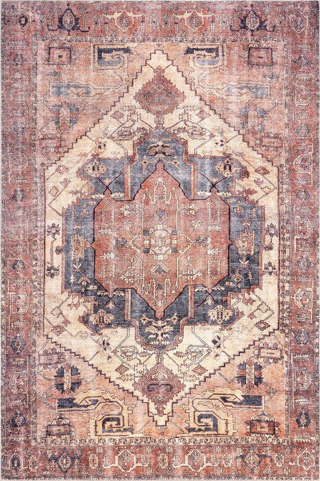 Classic Medallion Printed Area Rug in Pale Terracotta