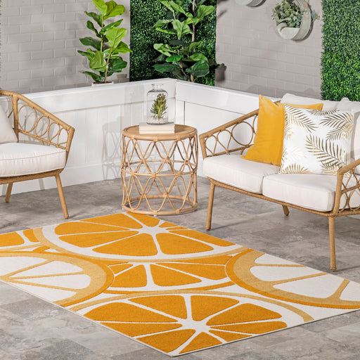 Clementine Colorful Area Rug for Indoor and Outdoor Use