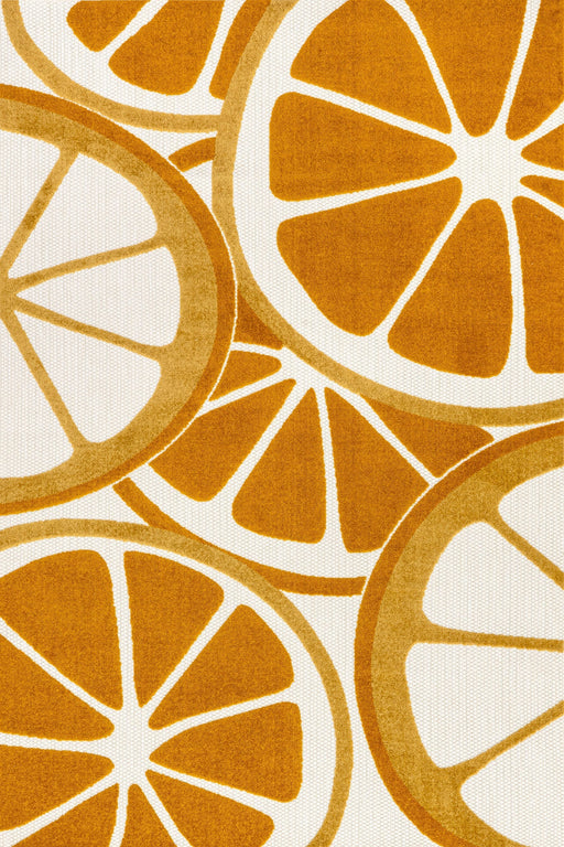 Clementine Colorful Area Rug for Indoor and Outdoor Use
