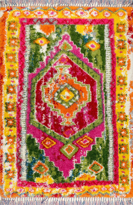 Colorful Shag Area Rug For Contemporary And Bohemian Decor