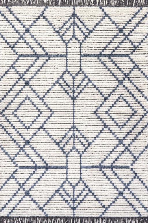 Contemporary Blue Tasseled Area Rug for Home Decor