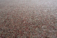 Coral 24001/1121 Rug