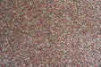 Coral 24001/1121 Rug