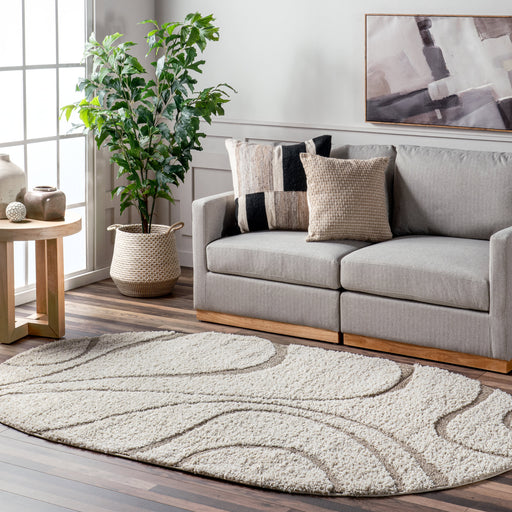 Cream Shaggy Area Rug for Home Decor