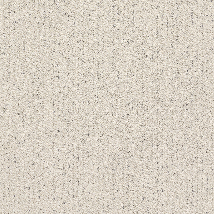 Custom Beige Speckled Area Rug with Stain Protection