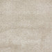 Deluxe Soft Plush Super Heavyweight High-Density Plain Polypropylene Shaggy Beige Rug