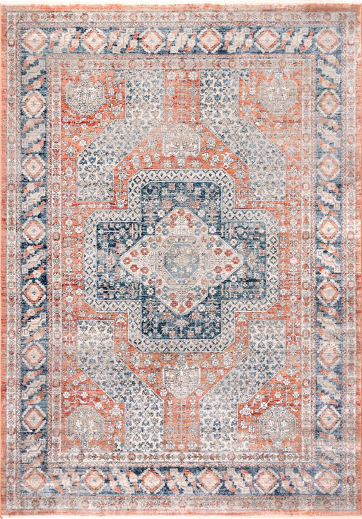 Distressed Turkish Medallion Area Rug in Rust Color