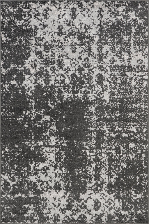 Distressed Vintage Grey Area Rug for Home Decor
