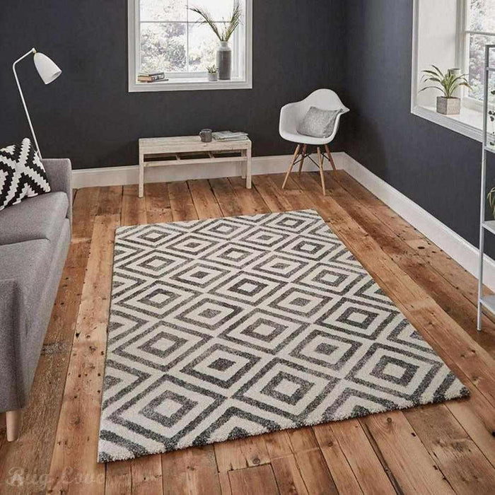 Elegant 4893 Grey/White Rug