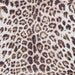 Faux Hide Leopard Print Rug