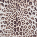 Faux Leopard Print Animal Skin Printed Polyester Flatweave Brown/Beige Rug