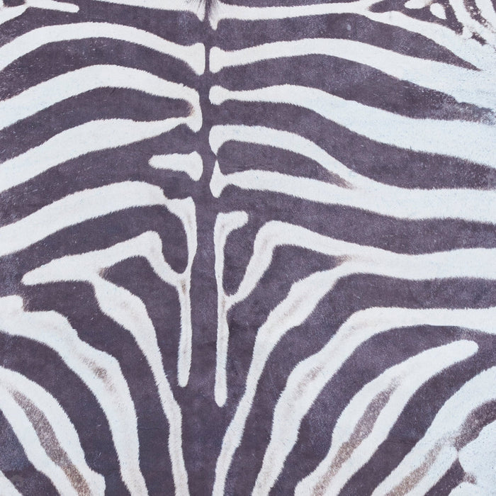 Faux Zebra Print Animal Skin Printed Polyester Flatweave Black/White Rug