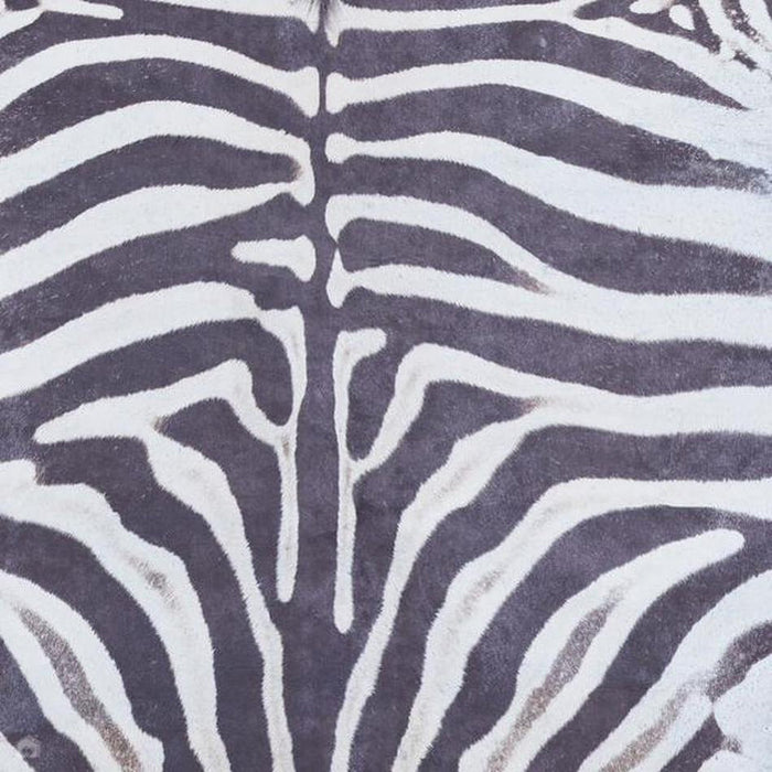 Faux Zebra Print Animal Skin Printed Polyester Flatweave Black/White Rug