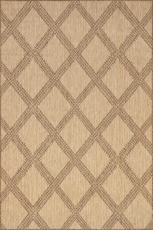 Favianna Trellis Area Rug for innendørs utendørs bruk 50x80 cm