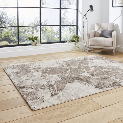 Florence 50033 Beige/Silver Rug